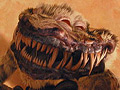 Comadner Shork