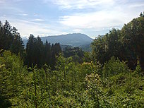 Klicke auf die Grafik für eine vergrößerte Ansicht

Name: 0001_20160521 Radtour Burg Landskron.jpg
Ansichten: 277
Größe: 789,9 KB
ID: 4442257