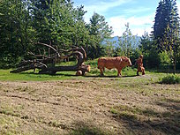 Klicke auf die Grafik für eine vergrößerte Ansicht

Name: image_90580.jpg
Ansichten: 278
Größe: 1,12 MB
ID: 4442259