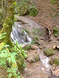 Klicke auf die Grafik für eine vergrößerte Ansicht

Name: 0008_20160527 Radtour Ebenthaler Wasserfall.jpg
Ansichten: 264
Größe: 861,9 KB
ID: 4442400