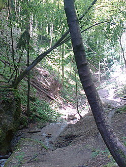 Klicke auf die Grafik für eine vergrößerte Ansicht

Name: 0009_20160527 Radtour Ebenthaler Wasserfall.jpg
Ansichten: 271
Größe: 1,09 MB
ID: 4442401