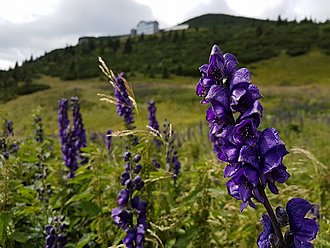 Klicke auf die Grafik für eine vergrößerte Ansicht

Name: 13920963_10153702270706053_1837704997819018321_n.jpg
Ansichten: 191
Größe: 84,9 KB
ID: 4455189