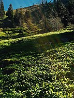 Klicke auf die Grafik für eine vergrößerte Ansicht

Name: Wendelstein.jpg
Ansichten: 163
Größe: 690,9 KB
ID: 4455201