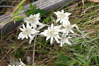 Klicke auf die Grafik für eine vergrößerte Ansicht

Name: 03.jpg
Ansichten: 158
Größe: 399,4 KB
ID: 4455658