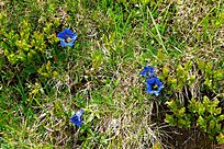 Klicke auf die Grafik für eine vergrößerte Ansicht

Name: 04.jpg
Ansichten: 101
Größe: 488,8 KB
ID: 4455924