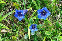 Klicke auf die Grafik für eine vergrößerte Ansicht

Name: 05.jpg
Ansichten: 108
Größe: 356,5 KB
ID: 4455925