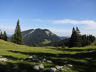 Klicke auf die Grafik für eine vergrößerte Ansicht

Name: DSC02208.JPG
Ansichten: 93
Größe: 530,8 KB
ID: 4456330