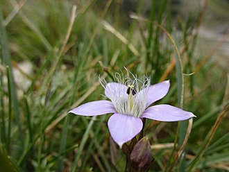 Klicke auf die Grafik für eine vergrößerte Ansicht

Name: DSC02263.JPG
Ansichten: 92
Größe: 397,5 KB
ID: 4456334