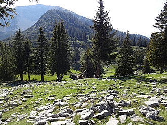 Klicke auf die Grafik für eine vergrößerte Ansicht

Name: DSC02213.JPG
Ansichten: 79
Größe: 947,4 KB
ID: 4456336