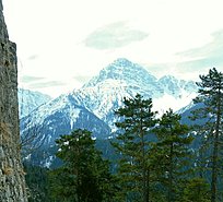 Klicke auf die Grafik für eine vergrößerte Ansicht

Name: IMG-20160327-WA0006.jpg
Ansichten: 79
Größe: 401,0 KB
ID: 4456585