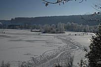 Klicke auf die Grafik für eine vergrößerte Ansicht

Name: 02.jpg
Ansichten: 178
Größe: 1,27 MB
ID: 4457370