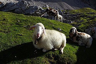 Klicke auf die Grafik für eine vergrößerte Ansicht

Name: DSC02873.JPG
Ansichten: 85
Größe: 775,0 KB
ID: 4480632