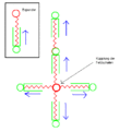 Klicke auf die Grafik für eine vergrößerte Ansicht

Name: Expander.GIF
Ansichten: 102
Größe: 5,5 KB
ID: 4173093