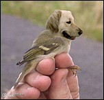 Klicke auf die Grafik für eine vergrößerte Ansicht

Name: Bild9.jpg
Ansichten: 165
Größe: 18,8 KB
ID: 4173704