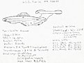 Klicke auf die Grafik für eine vergrößerte Ansicht

Name: Scan0002.jpg.jpg
Ansichten: 123
Größe: 46,0 KB
ID: 4173826