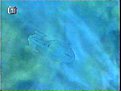 Klicke auf die Grafik für eine vergrößerte Ansicht

Name: Voyager.jpg
Ansichten: 102
Größe: 7,4 KB
ID: 4174222