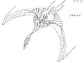 Klicke auf die Grafik für eine vergrößerte Ansicht

Name: jadephönix.jpg
Ansichten: 106
Größe: 418,1 KB
ID: 4177603