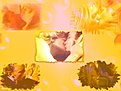 Klicke auf die Grafik für eine vergrößerte Ansicht

Name: Wallpaper-010.jpg
Ansichten: 127
Größe: 44,0 KB
ID: 4181688