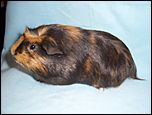 Klicke auf die Grafik für eine vergrößerte Ansicht

Name: 04stitch.JPG
Ansichten: 131
Größe: 61,1 KB
ID: 4185929