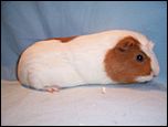 Klicke auf die Grafik für eine vergrößerte Ansicht

Name: 06cinderella.JPG
Ansichten: 112
Größe: 37,1 KB
ID: 4185931