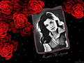 Klicke auf die Grafik für eine vergrößerte Ansicht

Name: Kate1.jpg
Ansichten: 174
Größe: 114,9 KB
ID: 4187382