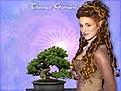 Klicke auf die Grafik für eine vergrößerte Ansicht

Name: Trance6.jpg
Ansichten: 130
Größe: 79,8 KB
ID: 4192256