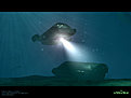 Klicke auf die Grafik für eine vergrößerte Ansicht

Name: animaniac_45_1280x960.jpg
Ansichten: 170
Größe: 113,2 KB
ID: 4203866
