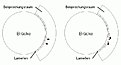 Klicke auf die Grafik für eine vergrößerte Ansicht

Name: Lamelle.jpg
Ansichten: 109
Größe: 26,6 KB
ID: 4212401