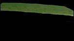 Klicke auf die Grafik für eine vergrößerte Ansicht

Name: Bild1.jpg
Ansichten: 128
Größe: 11,4 KB
ID: 4212884