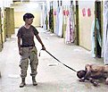 Klicke auf die Grafik für eine vergrößerte Ansicht

Name: Abu-ghraib-leash.jpg
Ansichten: 104
Größe: 26,7 KB
ID: 4213547
