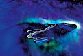 Klicke auf die Grafik für eine vergrößerte Ansicht

Name: VOY_070_CMYK.jpg
Ansichten: 125
Größe: 34,4 KB
ID: 4220096