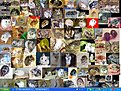 Klicke auf die Grafik für eine vergrößerte Ansicht

Name: hamster fürs scififorum.JPG
Ansichten: 155
Größe: 220,0 KB
ID: 4226009