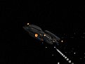 Klicke auf die Grafik für eine vergrößerte Ansicht

Name: BattlestarsvsBasestars (15).jpg
Ansichten: 116
Größe: 99,2 KB
ID: 4226459