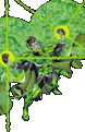 Klicke auf die Grafik für eine vergrößerte Ansicht

Name: greenlantern2_parallax.gif
Ansichten: 103
Größe: 27,8 KB
ID: 4228072
