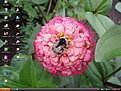 Klicke auf die Grafik für eine vergrößerte Ansicht

Name: Desktop.JPG
Ansichten: 136
Größe: 133,0 KB
ID: 4229984
