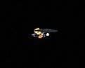 Klicke auf die Grafik für eine vergrößerte Ansicht

Name: zerstörung der USS Odyssey.JPG
Ansichten: 84
Größe: 552,7 KB
ID: 4232693