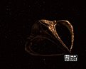 Klicke auf die Grafik für eine vergrößerte Ansicht

Name: 120 Scorpius und der Aurorastuhl - Bild 001.jpg
Ansichten: 104
Größe: 79,9 KB
ID: 4234042