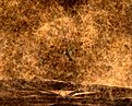 Klicke auf die Grafik für eine vergrößerte Ansicht

Name: 216 Das Bild in deinem Medaillon - Bild 002.jpg
Ansichten: 83
Größe: 326,8 KB
ID: 4234944