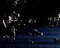 Klicke auf die Grafik für eine vergrößerte Ansicht

Name: Farscape - Peacekeeper Wars - Bild 006.jpg
Ansichten: 79
Größe: 178,1 KB
ID: 4236853