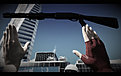 Klicke auf die Grafik für eine vergrößerte Ansicht

Name: hand to hand2.jpg
Ansichten: 76
Größe: 174,4 KB
ID: 4242026