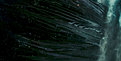 Klicke auf die Grafik für eine vergrößerte Ansicht

Name: neros-ship-trekxi-screen.jpg
Ansichten: 110
Größe: 74,8 KB
ID: 4243596