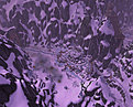 Klicke auf die Grafik für eine vergrößerte Ansicht

Name: WoWScrnShot_053109_123509.jpg
Ansichten: 76
Größe: 268,1 KB
ID: 4244082