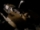 Klicke auf die Grafik für eine vergrößerte Ansicht

Name: scifiquiz - bok'nor klasse.jpg
Ansichten: 110
Größe: 2,0 KB
ID: 4245001
