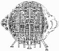 Klicke auf die Grafik für eine vergrößerte Ansicht

Name: crest2b.jpg
Ansichten: 92
Größe: 16,3 KB
ID: 4247791