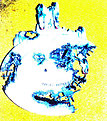 Klicke auf die Grafik für eine vergrößerte Ansicht

Name: nebula-melbourne-top.jpg
Ansichten: 207
Größe: 84,8 KB
ID: 4248150