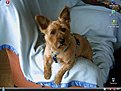Klicke auf die Grafik für eine vergrößerte Ansicht

Name: Hunter Rae Bilbo.JPG
Ansichten: 139
Größe: 100,6 KB
ID: 4248639