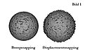 Klicke auf die Grafik für eine vergrößerte Ansicht

Name: Illustration - Bild 1 -Bump vs Displacement Mapping.jpg
Ansichten: 203
Größe: 163,6 KB
ID: 4249047