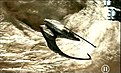 Klicke auf die Grafik für eine vergrößerte Ansicht

Name: 25112d1187543869-raumschiffe-andromeda-universum-fotos-519-sekte-generals-bild-007.jpg
Ansichten: 126
Größe: 64,0 KB
ID: 4250027