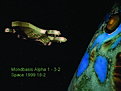 Klicke auf die Grafik für eine vergrößerte Ansicht

Name: Space 1999 - 18-2.jpg
Ansichten: 207
Größe: 63,0 KB
ID: 4254901