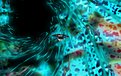 Klicke auf die Grafik für eine vergrößerte Ansicht

Name: Gorkon 5.jpg
Ansichten: 95
Größe: 484,6 KB
ID: 4255634